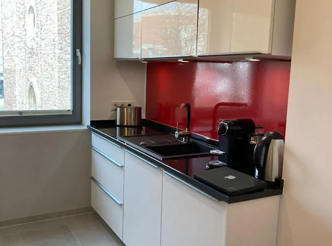 公寓 佩特里科奇城市公寓 *